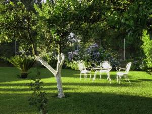 Trois chaises et un arbre dans une cour dans l'établissement Casa MaLu Boutique Apartments - No 1, à Gouviá