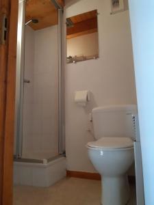 uma casa de banho com um WC e um chuveiro em Appartement Azalee em Châtel