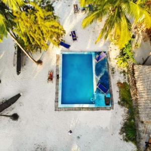 an overhead view of a pool on a beach with palm trees at Drifters Zanzibar in Paje