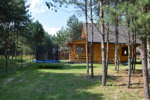 Κήπος έξω από το Zacisze Leśne- Domek do wynajęcia