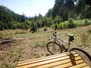 Jízda na kole v ubytování Landgasthof Zur Post, Hochwälder Radstation nebo okolí