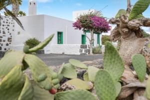 Zahrada ubytování Casa Rural Tamia