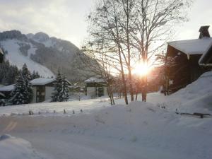 Afbeelding uit fotogalerij van Appartement Azalee in Châtel