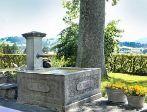 Aed väljaspool majutusasutust Hotel B&BAlpenheim