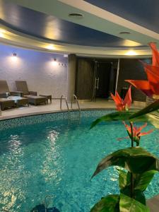 ein großer Pool in einem Hotelzimmer in der Unterkunft La Perla in Vodice