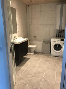y baño con lavamanos y lavadora. en aday - Nice and cozy place, en Aalborg