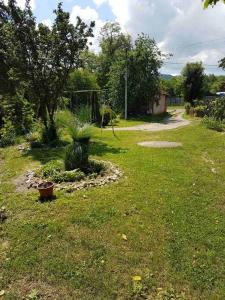 a yard with a plant in the grass at Studio Ivana 2 in Soko Banja +4 photos
