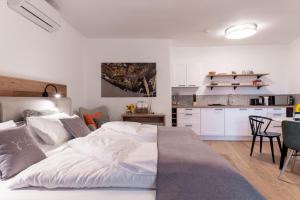 Kuchyňa alebo kuchynka v ubytovaní Apartments Galumbo - bleiben & genießen