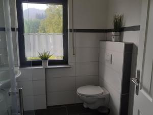 a bathroom with a toilet and a window at Hibbeln Hof in Brilon +2 photos
