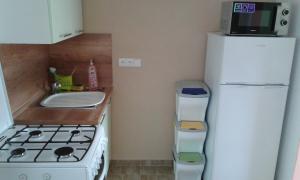 een keuken met een witte koelkast en een fornuis bij České Švýcarsko - Apartmán pro 2-3 dospělé osoby in Srbská Kamenice +1 foto