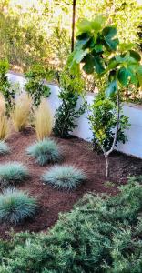 A garden outside Boutique Art Villa Maria