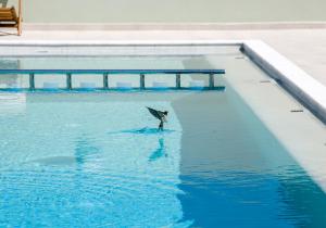 a person standing in a swimming pool with an umbrella at Incognito Creta Luxury Suites and More in Kolymvari