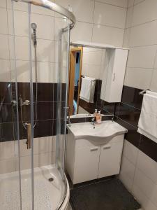 a bathroom with a shower and a sink and a toilet at SOBE RIM BREZJE DRAVSKO in Cestica +14 photos