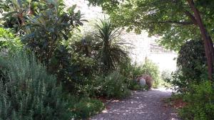 un chemin dans un jardin planté d'arbres et de plantes dans l'établissement Maison d'Hôtes Côté Cour, à Rasteau