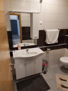 uma casa de banho com um lavatório, um espelho e um WC. em SOBE RIM BREZJE DRAVSKO em Cestica