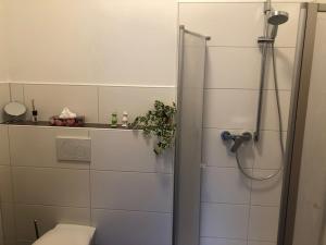 Gallery image of Gästehaus Falkenstein in Niedenstein