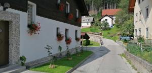 Okolí apartmánu