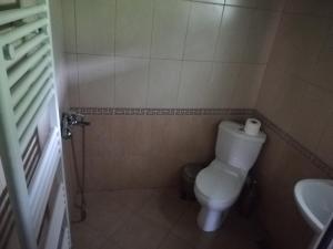 Baño pequeño con aseo y lavamanos en Бутикова къща "МЕРИ" en Oreshak