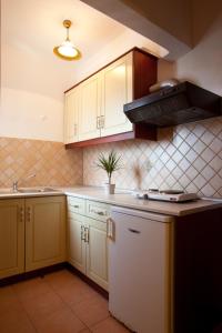 Dapur atau dapur kecil di Hovolo Hotel Apartments