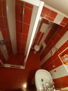 A bathroom at Apartman Panonsko more