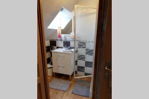 een kleine badkamer met een wastafel en een spiegel bij les alouettes in Leschelles