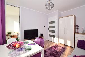 Telewizja i/lub zestaw kina domowego w obiekcie Apartament nad Strugą