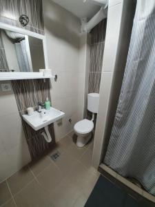 a bathroom with a toilet and a sink and a shower at Apartman Selena in Berkovac