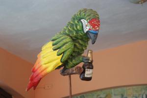 una estatua de un loro sosteniendo una botella de cerveza en Club Cantamar Beach Hotel & Marina, en La Paz
