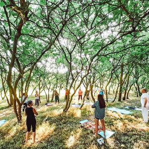 un gruppo di persone che si trovano sotto gli alberi in un campo di Agriturismo La Sorgente a Camerano