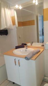 a bathroom with a sink and a mirror at Studio Cité médiévale 250 m in Carcassonne