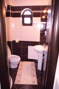 a bathroom with a toilet and a sink at Hotel Victoria in Borşa