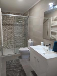 uma casa de banho com um WC, um chuveiro e um lavatório. em Casa Borlido em Ponte de Lima