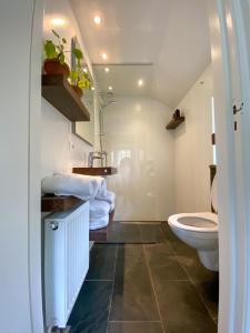 a bathroom with a toilet and a sink at Casa Vinke op Ameland in Hollum