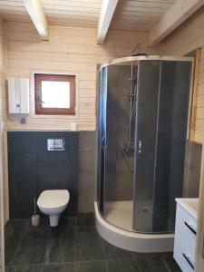 a bathroom with a shower and a toilet at Domek w Górach Sowich in Michałkowa