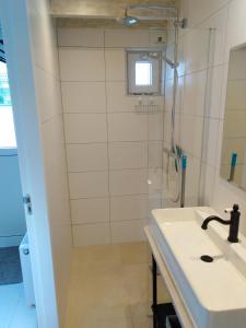 un bagno con doccia e lavandino di Tante Cher à la Mer - Zeeland a Biggekerke Altre 28 foto