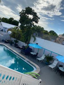 einen Pool auf einem Balkon mit Stühlen und Sonnenschirmen in der Unterkunft The Palms Hotel in Key West