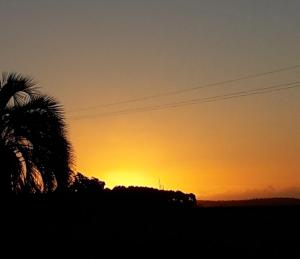 una puesta de sol con una palmera en primer plano en Tacamita, en La Pedrera