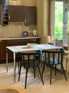Niemcz的住宿－維塔公寓，厨房配有桌子、两把椅子和一张桌子