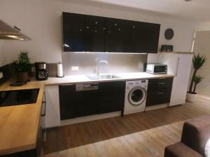 una cucina con lavello e lavatrice di Ferienwohnung MIA-LENA a Penzing