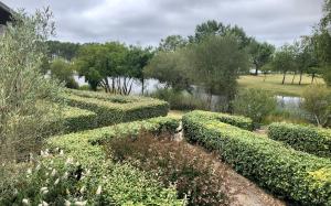 un jardin avec des buissons et une masse d'eau dans l'établissement Moulis, à Hourtin