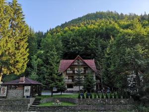 Příroda nedaleko penzionu + 35 fotografií