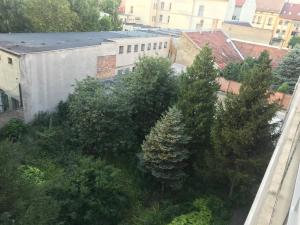 een luchtzicht op bomen en een gebouw bij Classic City Apartman in Szeged