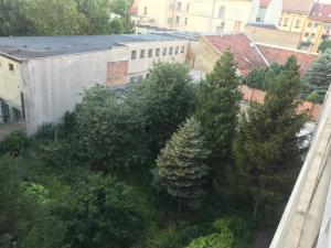 z góry widok na drzewa i budynek w obiekcie Classic City Apartman w Segedynie