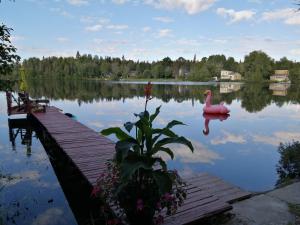a lake with a pink swan in the water at Hebergement Cerfs-Tifie fermette in Saint-Félix-d'Otis