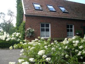 Aed väljaspool majutusasutust B&B Annabelle