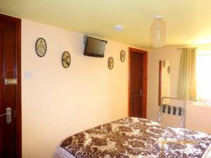 TV a/nebo společenská místnost v ubytování Hazels Roost B&B