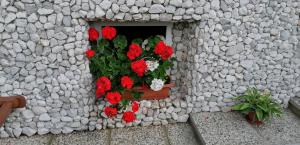 Zahrada ubytování Apartma Arh