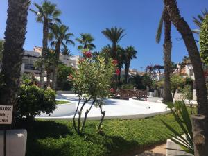 un parque con palmeras y un edificio en Casa con Encanto en Roquetas de Mar, en Roquetas de Mar