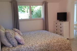 a bedroom with a bed with a television and a window at ty-yan in Tours