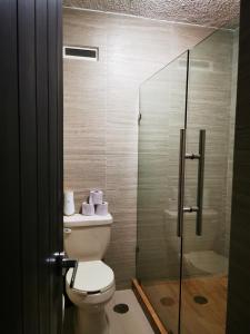 a bathroom with a toilet and a glass shower at Suites Brisas Cancun in Cancún